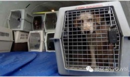 古越最新爆料上设备,揭秘上设备背后的神秘力量